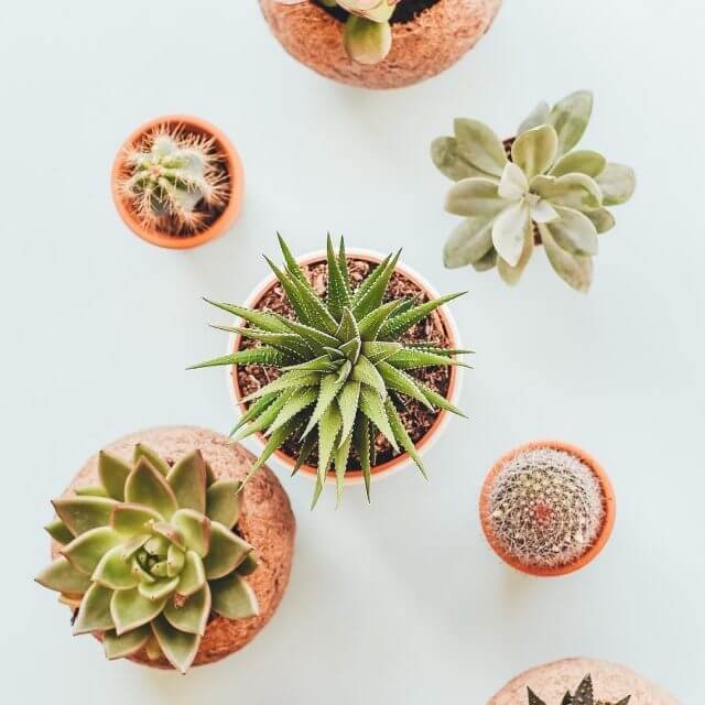 Digital marketing in nagpur